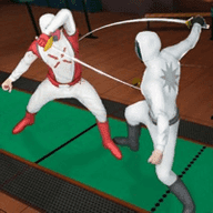 击剑格斗锦标赛(FencingSwordplay)