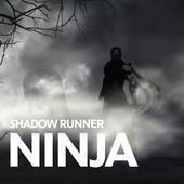 暗影赛跑者忍者(Shadow Runner Ninja)