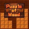 木之谜DX(Puzzle of Wood)